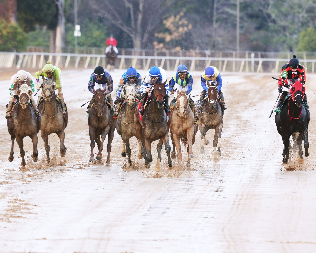 Saturday’s All 2-Year-Old Card Features Prominent Horses and Horsemen