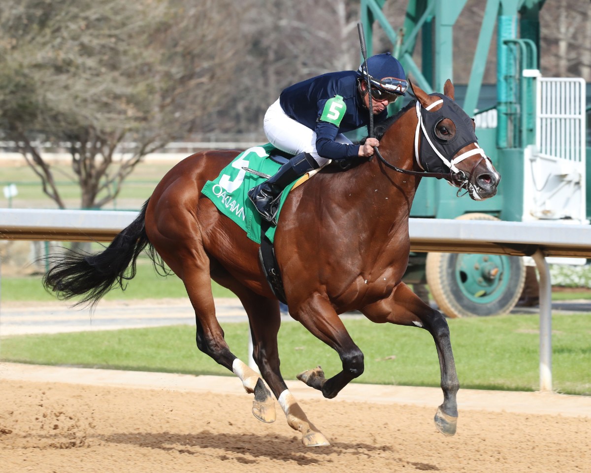 Oaklawn Barn Notes: Verifying Impressive in 3-Year-Old Debut