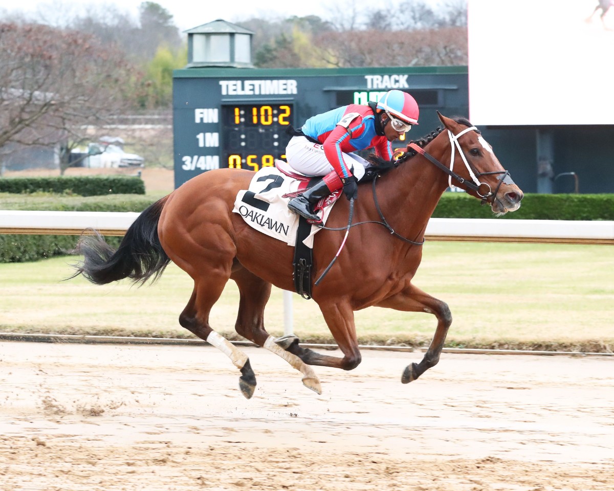 EVENLY MATCHED FIELD SET FOR SATURDAY’S AMERICAN BEAUTY