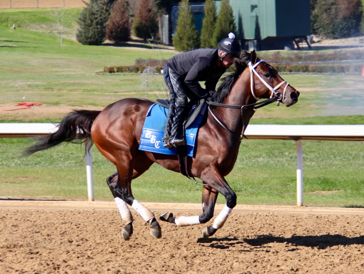 Oaklawn Barn Notes: Cox Fully Loaded for Southwest Stakes