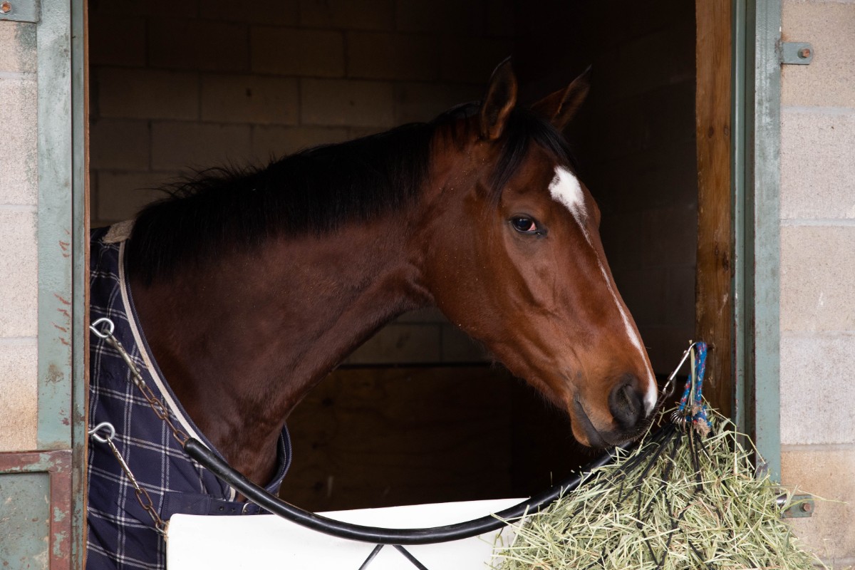 Oaklawn Barn Notes: Fincher Making the Most of First Time at Oaklawn