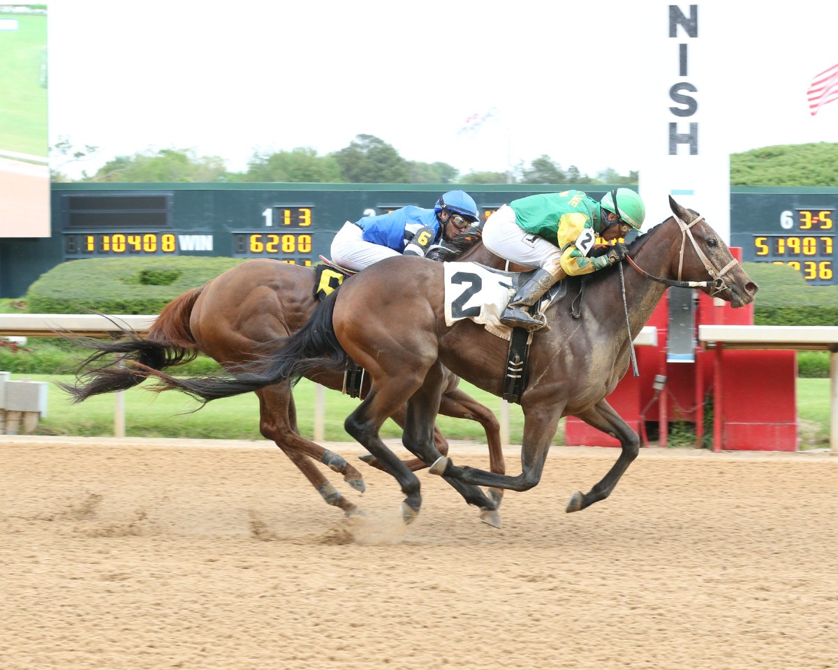 WITT SEEKS FIRST STAKES WIN WITH KABOOM BABY