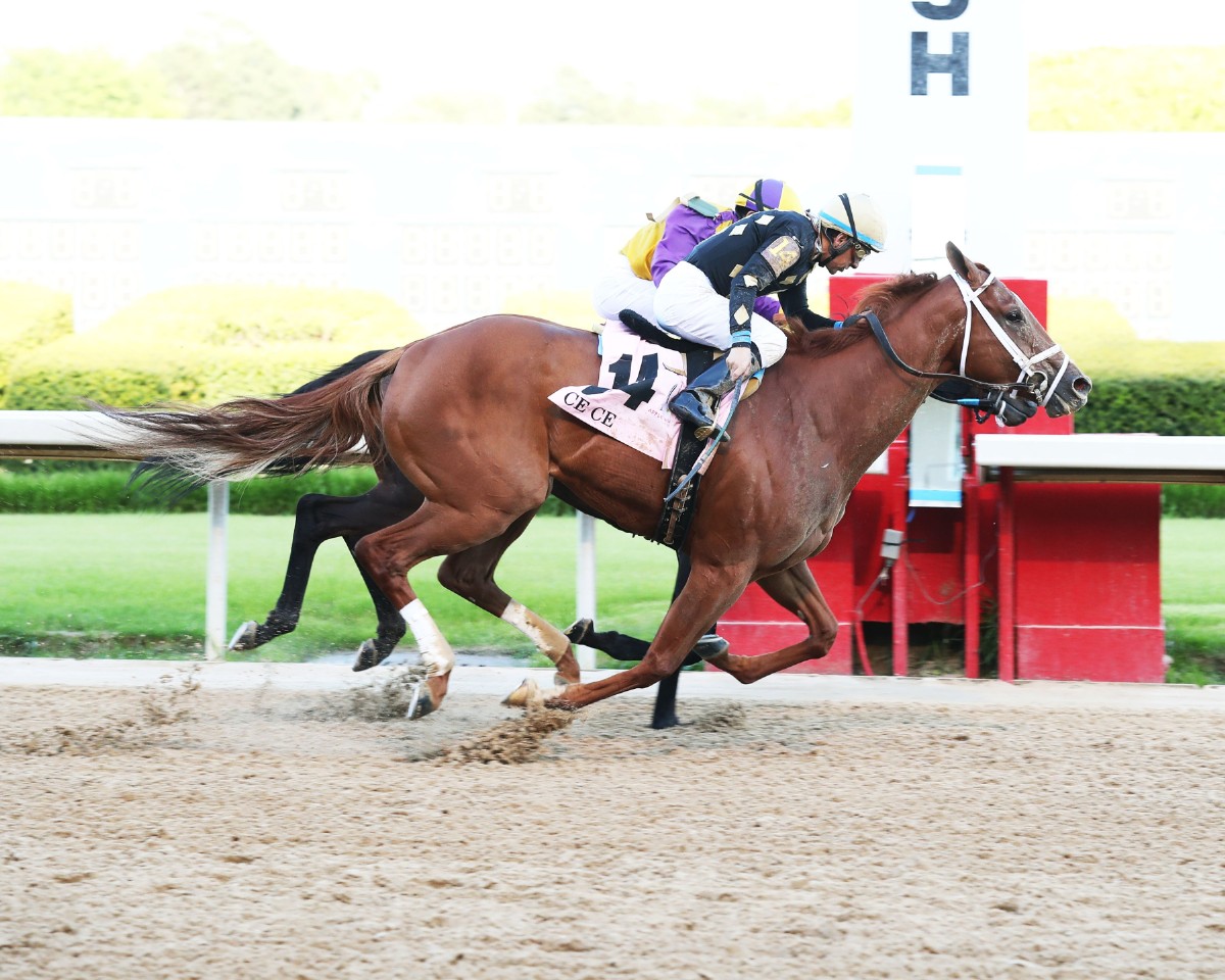 CHAMPION CE CE RETURNS TO OAKLAWN A WINNER IN THE AZERI