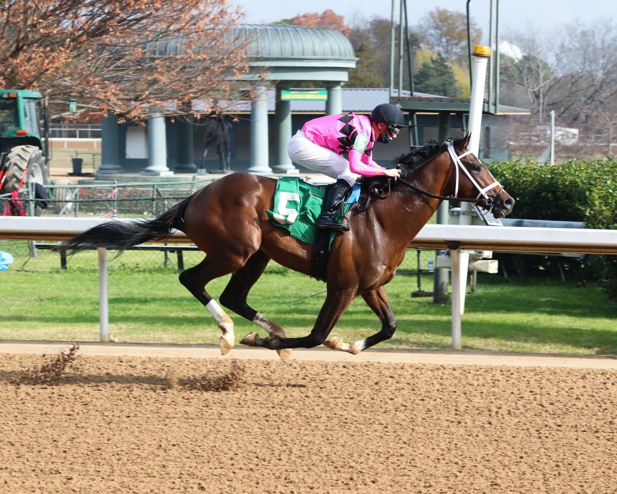STELLAR TAP FAVORED IN EVENLY-MATCHED OAKLAWN STAKES